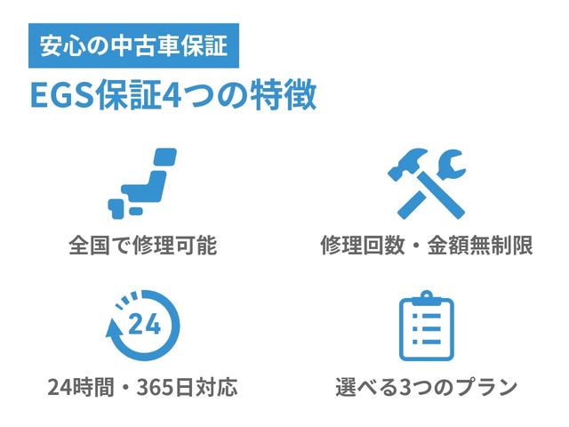 ラウム Ｓパッケージ　オリジナルツートンカラー　パワースライド　　車検付き（28枚目）