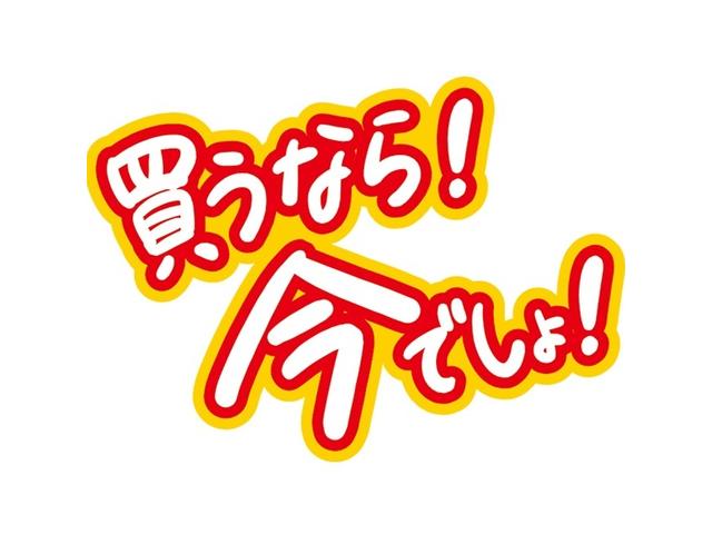 ベリーサ マゼンタセレクション　ＥＴＣ　Ｂカメラ　法定整備あり　ナビ　ＴＶ　アルミホイール　オートライト　ＨＩＤ　合革シート　スマートキー　ＡＴ　盗難防止システム　衝突安全ボディ　ＡＢＳ　エアコン　パワーステ　パワーウィンドウ（68枚目）