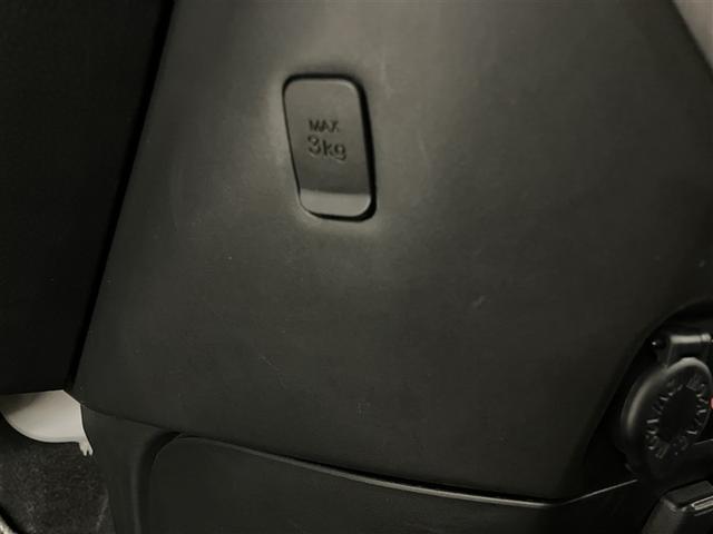 タンク Ｇ　コージーエディション　スマートキープッシュスタート　両側自動ドア　地デジ　盗難防止　ＬＥＤランプ　バックモニター　ＤＶＤ再生機能　クルコン　ウォークスルー　ワンオーナー車　横滑り防止装置　ナビＴＶ　ＡＢＳ　キーレス　ＥＴＣ（23枚目）