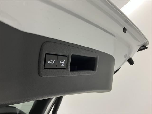 ハリアー G アルミ リヤカメラ イモビライザー 運転席パワーシート LEDヘッド クルーズコントロール 4WD ETC スマートキー ドライブレコーダー ミュージックプレイヤー接続可 フルセグ オートエアコン(31枚目)