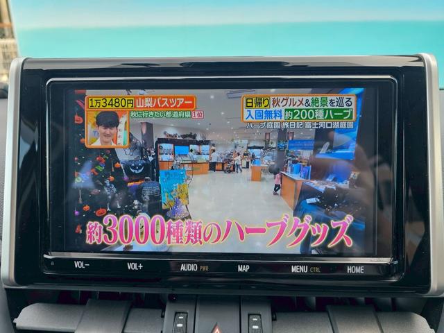 ＲＡＶ４ アドベンチャー　純正ナビ・トヨタセーフティセンス・アダプティブクルーズコントロール・パワートランクリッド・ブラインドスポットモニター・バックカメラ・Ｂｌｕｅｔｏｏｔｈ接続・ＥＴＣ・ＴＶ・純正１９インチアルミホイール（37枚目）
