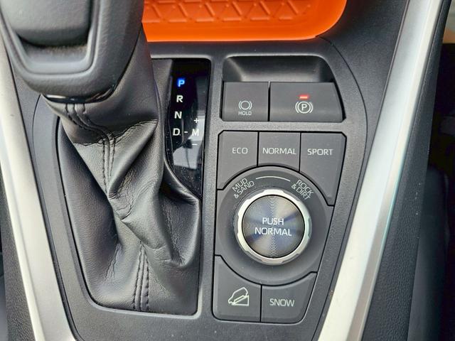ＲＡＶ４ アドベンチャー　純正ナビ・トヨタセーフティセンス・アダプティブクルーズコントロール・パワートランクリッド・ブラインドスポットモニター・バックカメラ・Ｂｌｕｅｔｏｏｔｈ接続・ＥＴＣ・ＴＶ・純正１９インチアルミホイール（47枚目）