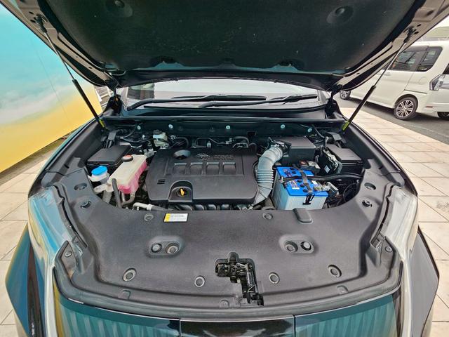 ハリアー エレガンス フルエアロ・サンルーフ・プリクラッシュセーフティ・レーダークルーズコントロール・社外ナビ・バックカメラ・ETC・ドラレコ・TV・Bluetooth・MULTIFORCHETTAホイール22インチ(65枚目)