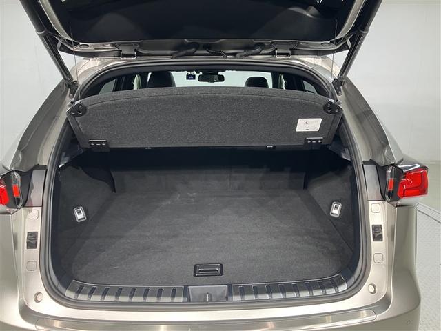 ＮＸ ＮＸ３００ｈ　クール＆ブライト　３１９３８キロ　２オーナー　純正メモリーナビ　フルセグ　ＤＶＤ　ＣＤ　全周囲＆バックモニター　黒革エアシート＆ヒーター　ムーンルーフ　ＢＳＭ　クルコン　ドラレコ　パワーバックドア　ＥＴＣ２．０　禁煙（23枚目）