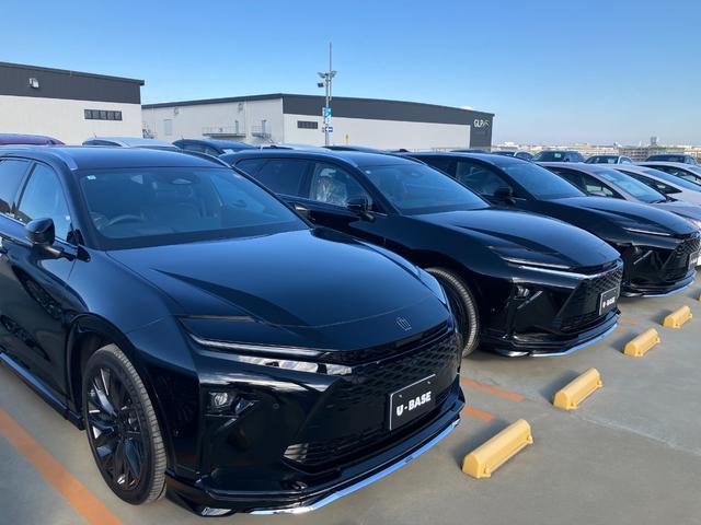 ���������̃N���}�ł��B���E�ɓ����F�u���b�N���݌ɂ��Ă���܂��B���Ќ��ɂ��炵�Ă��������B