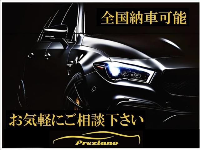 フェアレディZ バージョンS ストラーダナビ フルセグ バックカメラ ETC マニュアル6速(32枚目)