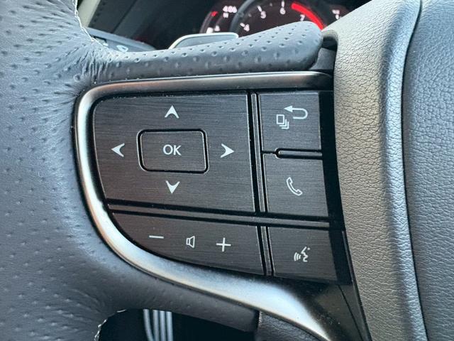ＬＳ ＬＳ５００　Ｆスポーツ　マークレビンソン　ムーンルーフ　デジタルインナーミラー　ＨＵＤ　ＢＳＭ　レーダークルーズコントロール　シートヒーター／ベンチレーション　メーカーナビ　全周囲モニター　ＥＴＣ　純正２０インチＡＷ（26枚目）