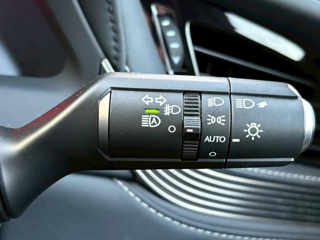 ＬＳ ＬＳ５００　Ｆスポーツ　マークレビンソン　ムーンルーフ　デジタルインナーミラー　ＨＵＤ　ＢＳＭ　レーダークルーズコントロール　シートヒーター／ベンチレーション　メーカーナビ　全周囲モニター　ＥＴＣ　純正２０インチＡＷ（29枚目）
