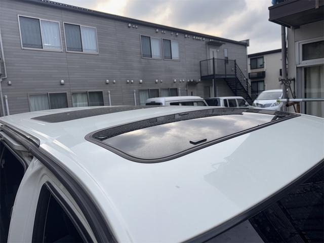 エルグランド ライダーＳ（44枚目）