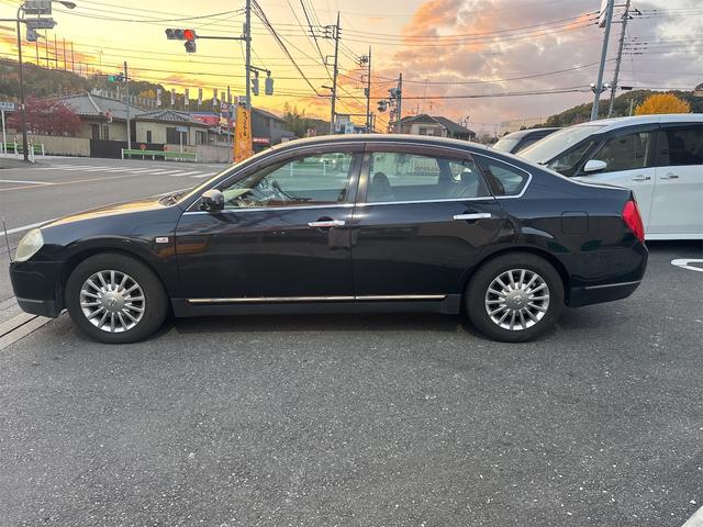 ティアナ ２３０ＪＫ　Ｐ－コレクション（5枚目）