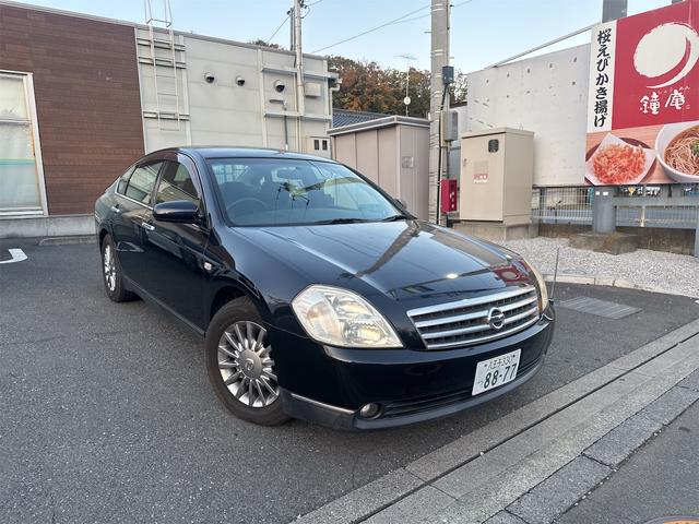 ティアナ ２３０ＪＫ　Ｐ－コレクション（6枚目）