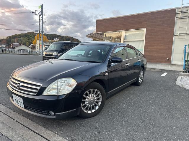 ティアナ ２３０ＪＫ　Ｐ－コレクション（7枚目）