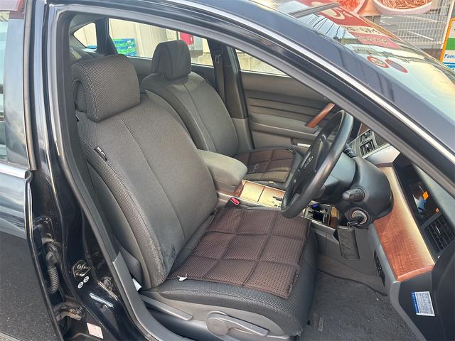 ティアナ ２３０ＪＫ　Ｐ－コレクション（13枚目）