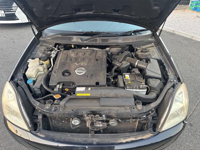 ティアナ ２３０ＪＫ　Ｐ－コレクション（17枚目）