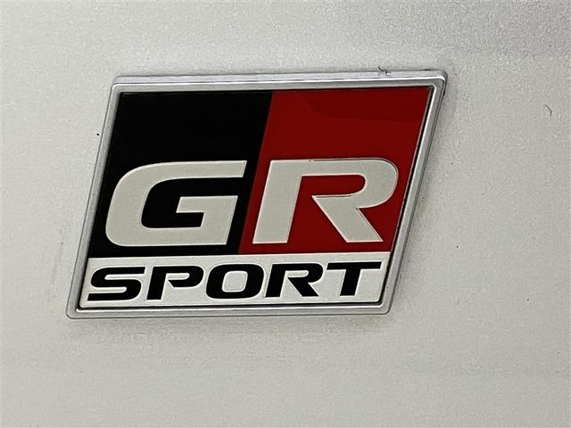 マークＸ ２５０Ｓ　ＧＲスポーツ　ワンオーナー　盗難防止システム　ナビＴＶ　サイドエアバッグ　助手席エアバッグ　ミュージックプレイヤー接続可　地デジＴＶ　ＡＷ　キーレス　ＡＢＳ　スマートキー　ＤＶＤ　エアバッグ　メモリーナビ　ＥＳＣ（38枚目）
