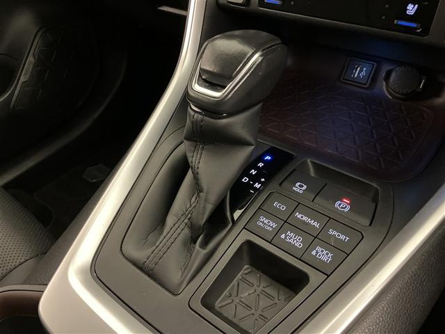 ＲＡＶ４ Ｇ　ナビ・ＴＶ　Ｂカメラ　点検記録簿　パワーウインドウ　カーテンエアバック　運転席パワーシート　ワンオーナ　イモビライザー　地デジ　キーレス　ＥＴＣ付　ＬＥＤヘッドライ　クルコン　オートエアコン　４ＷＤ車（16枚目）