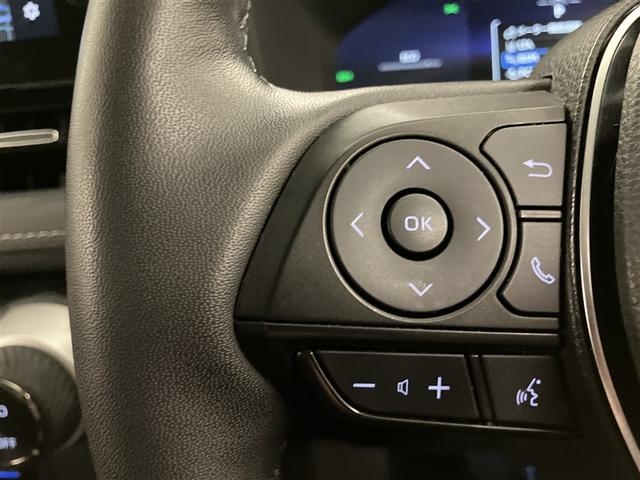 ＲＡＶ４ Ｇ　ナビ・ＴＶ　Ｂカメラ　点検記録簿　パワーウインドウ　カーテンエアバック　運転席パワーシート　ワンオーナ　イモビライザー　地デジ　キーレス　ＥＴＣ付　ＬＥＤヘッドライ　クルコン　オートエアコン　４ＷＤ車（18枚目）