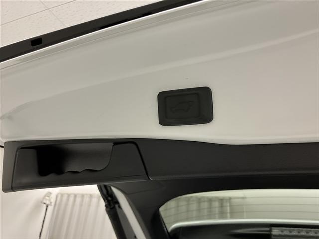 ＲＡＶ４ Ｇ　ナビ・ＴＶ　Ｂカメラ　点検記録簿　パワーウインドウ　カーテンエアバック　運転席パワーシート　ワンオーナ　イモビライザー　地デジ　キーレス　ＥＴＣ付　ＬＥＤヘッドライ　クルコン　オートエアコン　４ＷＤ車（32枚目）