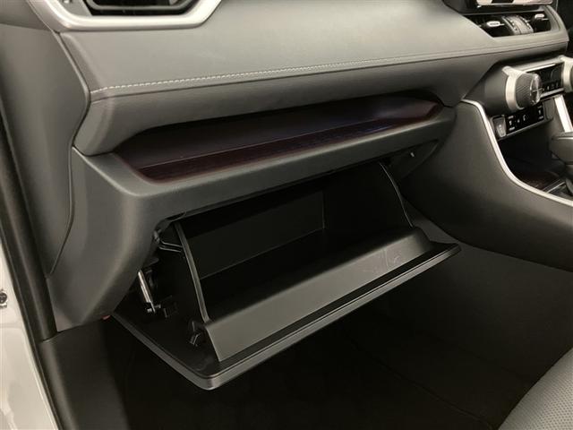 ＲＡＶ４ Ｇ　Ｂカメラ　ＴＶ　パワーウインドウ　カーテンエアバック　運転席パワーシート　イモビライザー　ＡＣ１００Ｖ電源　地デジ　キーレス　ＥＴＣ付　ＬＥＤヘッドライ　クルコン　オートエアコン　横滑り防止装置　ＡＷ（27枚目）