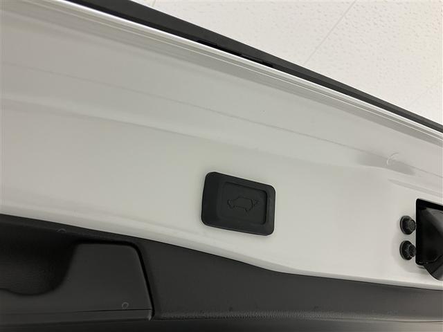 ＲＡＶ４ Ｇ　Ｂカメラ　ＴＶ　パワーウインドウ　カーテンエアバック　運転席パワーシート　イモビライザー　ＡＣ１００Ｖ電源　地デジ　キーレス　ＥＴＣ付　ＬＥＤヘッドライ　クルコン　オートエアコン　横滑り防止装置　ＡＷ（33枚目）