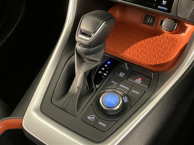 RAV4 アドベンチャー リヤカメラ 記録簿付 アルミ クルーズC ナビテレビ LEDライト 1オーナー イモビ 地デジ ESC スマキー PS ETC付き ドラレコ付き エアコン 4WD車 電動パワーシート パワーウインドウ(21枚目)