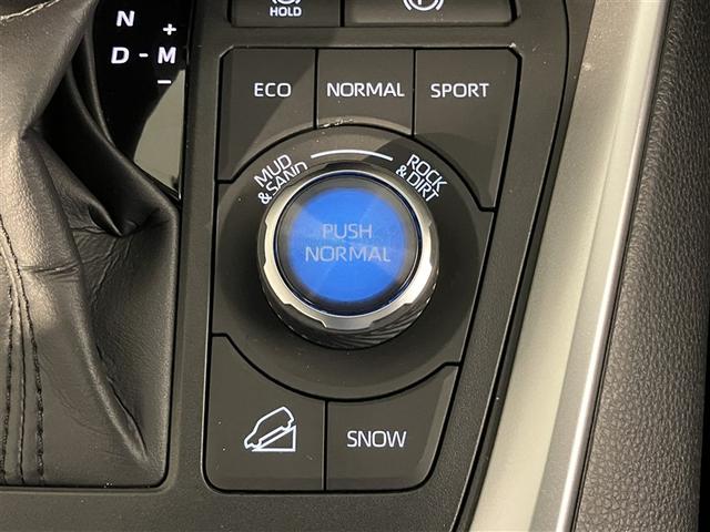 RAV4 アドベンチャー リヤカメラ 記録簿付 アルミ クルーズC ナビテレビ LEDライト 1オーナー イモビ 地デジ ESC スマキー PS ETC付き ドラレコ付き エアコン 4WD車 電動パワーシート パワーウインドウ(22枚目)