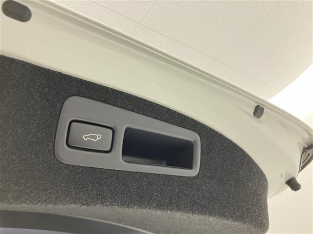 ハリアー プレミアム スタイルノアール 地デジ ナビTV TSS LEDヘッドライト ETC付 パワーシート 横滑り防止システム クルコン スマートキー エアバッグ セキュリティー DVD再生機能 メモリナビ AW オートエアコン ABS(32枚目)