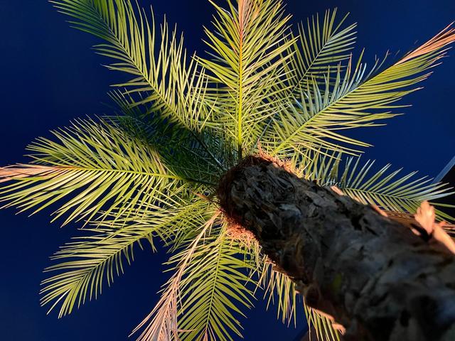 ハイエースバン ロングDX ナローハイルーフ・MC-9・ヨコハマPARADA・Uiビークル追加スタビライザー・コンフォートショックアブソーバー・ジャオスオーバーフェンダー・カロッツェリアナビ・ETC・3人乗り仕様・荷室カスタム(42枚目)