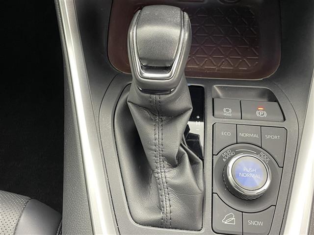 ＲＡＶ４ Ｇ　Ｚパッケージ　純正９インチナビ　モデリスタエアロ　デジタルインナーミラー　シートヒーター　バックカメラ　レーダークルーズコントロール　ステアリングヒーター　パワーシート　シートメモリー　ＬＥＤヘッドライト　ＥＴＣ（32枚目）