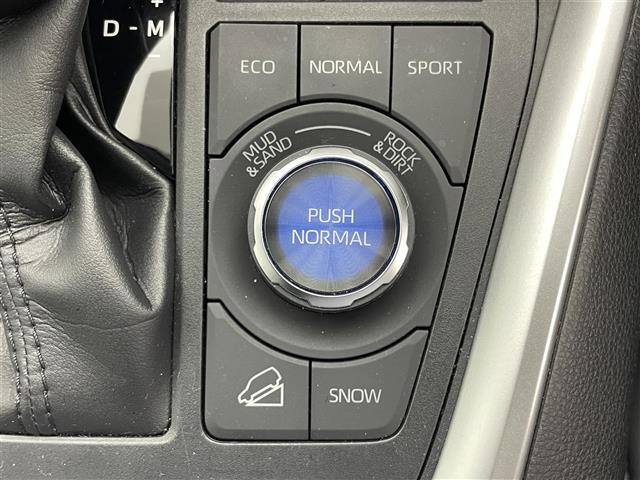 ＲＡＶ４ Ｇ　Ｚパッケージ　純正９インチナビ　モデリスタエアロ　デジタルインナーミラー　シートヒーター　バックカメラ　レーダークルーズコントロール　ステアリングヒーター　パワーシート　シートメモリー　ＬＥＤヘッドライト　ＥＴＣ（34枚目）