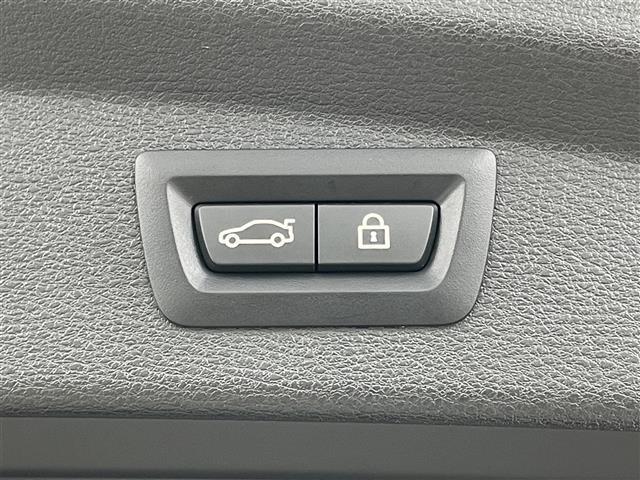 Ｘ２ Ｍ３５ｉ　純正ナビ　バックカメラ　アクティブクルーズコントロール　黒ハーフレザーシート　ＨＵＤ　ＥＴＣ　パドルシフト　社外レーダー　シートヒーター　パワーシート　メモリシート　パワーバックドア　ＬＥＤライト（23枚目）