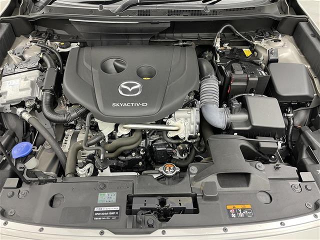 ＣＸ－３ ＸＤ　ツーリング　純正ナビ　全方位カメラ　前後ドライブレコーダー　ＥＴＣ　レーダークルーズコントロール　地デジフルセグＴＶ　Ｂｌｕｅｔｏｏｔｈ　ＤＶＤ再生　ＬＥＤライト　衝突軽減ブレーキ　ＨＵＤ　ＢＳＭ　オートライト（21枚目）