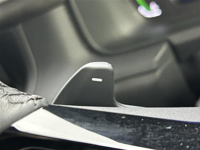 ステップワゴン ｅ：ＨＥＶスパーダ　プレミアムライン　純正１１インチナビ　純正フリップダウンモニター　全方位カメラ　両側パワースライドドア　ＢＳＭ　レーダークルーズコントロール　シートヒーター　ビルトインＥＴＣ２．０　パドルシフト　地デジフルセグＴＶ（30枚目）