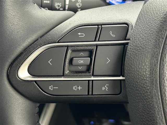 ヴォクシー ハイブリッドS-Z 純正10.5インチディスプレイオーディオ 純正14インチフリップダウンモニター 快適利便パッケージ デジタルインナーミラー ブラインドスポットモニター バックカメラ レーダークルーズコントロール(32枚目)