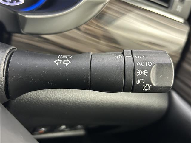 エルグランド 250ハイウェイスターS 純正8インチナビ 純正後席モニター サンルーフ 両側パワースライド アラウンドビューモニター レーダークルーズコントロール ビルトインETC LEDヘッドライト 社外ドライブレコーダー コーナーセンサ(44枚目)