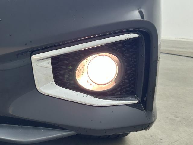 エルグランド 250ハイウェイスターS 純正8インチナビ 純正後席モニター サンルーフ 両側パワースライド アラウンドビューモニター レーダークルーズコントロール ビルトインETC LEDヘッドライト 社外ドライブレコーダー コーナーセンサ(64枚目)