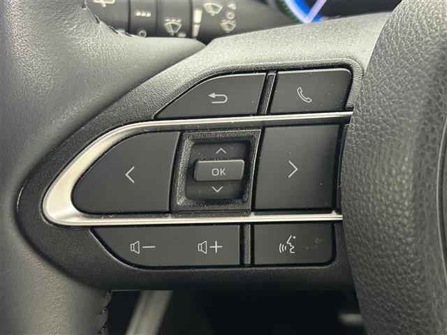 ノア ハイブリッドＳ－Ｚ　モデリスタエアロ　純正１０．５インチナビ　パノラミックビューモニター　快適利便パッケージ　ドライブレコーダー　ビルトインＥＴＣ２．０　三眼ＬＥＤライト　アドバンストパーク　ユニバーサルステップ　ＤＶＤ（25枚目）