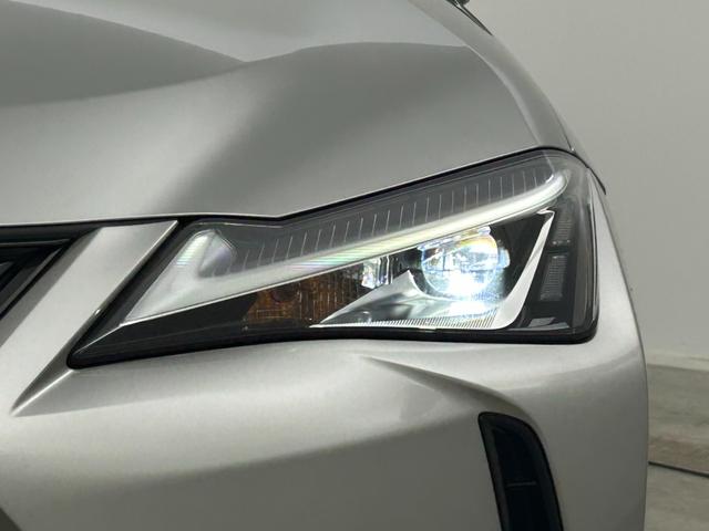 �y���C�g�E�����v�z�w���C�g�^�����v���Ӂx�̉摜�ɂȂ�܂��B�ʐ^�̓��e�Ɋւ��Ă��s���_�A�����ⓙ���������܂����炨�C�y�ɃK���o�[�X�܂܂ł��₢���킹���������B