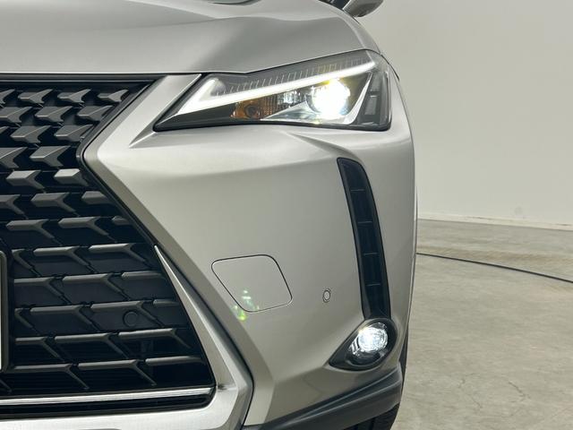 �y���C�g�E�����v�z�w���C�g�^�����v���Ӂx�̉摜�ɂȂ�܂��B�ʐ^�̓��e�Ɋւ��Ă��s���_�A�����ⓙ���������܂����炨�C�y�ɃK���o�[�X�܂܂ł��₢���킹���������B