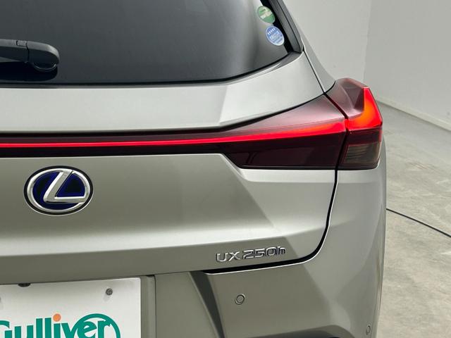 �y���C�g�E�����v�z�w���C�g�^�����v���Ӂx�̉摜�ɂȂ�܂��B�ʐ^�̓��e�Ɋւ��Ă��s���_�A�����ⓙ���������܂����炨�C�y�ɃK���o�[�X�܂܂ł��₢���킹���������B