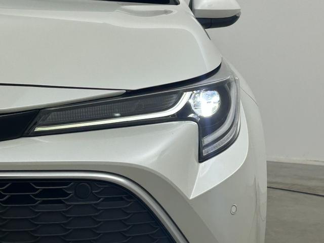 �y���C�g�E�����v�z�w���C�g�^�����v���Ӂx�̉摜�ɂȂ�܂��B�ʐ^�̓��e�Ɋւ��Ă��s���_�A�����ⓙ���������܂����炨�C�y�ɃK���o�[�X�܂܂ł��₢���킹���������B