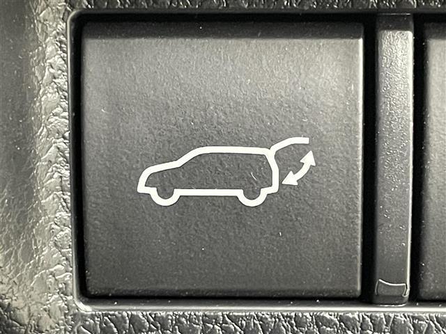 �y�p���[�o�b�N�h�A�z�ו����������Ԃł����A�Q�[�g�̊J���\�ł��I������������A�E�g�h�A�̍ۂɖ𗧂��܂��ˁB