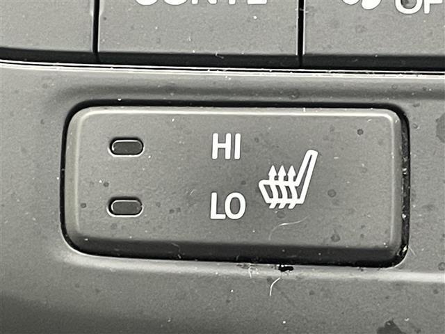 ステップワゴンスパーダ e:HEVスパーダ G・EX ホンダセンシング アルパイン10インチナビ バックカメラ 両側パワスラ わくわくゲート ドラレコ ハーフレザーシート LEDヘッドライト オートライト ETC2.0 純正フロアマット レーダークルーズ オートハイビーム(38枚目)