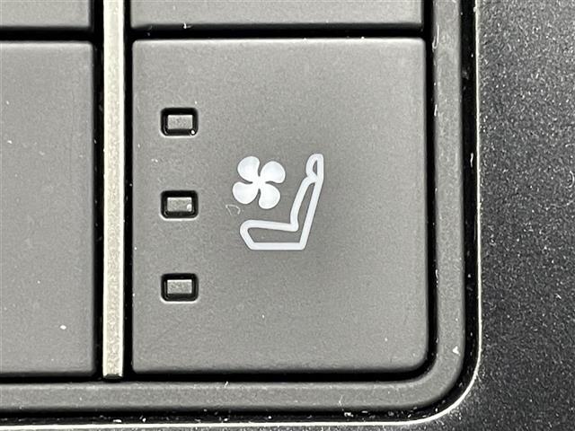 �y�V�[�g�x���`���[�V�����z�ď�̏������ł��A�V�[�g�̍��ʂ�w������̕������畗�������Ă���̂ŁA�����h���܂��I�܂����C�Ȃǂ̌��ʂ�����A�������𐮂��Ă���܂��B