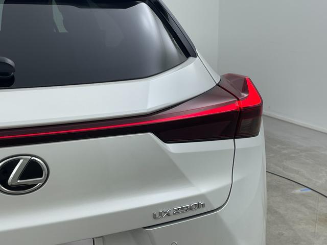 �y���C�g�E�����v�z�w���C�g�^�����v���Ӂx�̉摜�ɂȂ�܂��B�ʐ^�̓��e�Ɋւ��Ă��s���_�A�����ⓙ���������܂����炨�C�y�ɃK���o�[�X�܂܂ł��₢���킹���������B