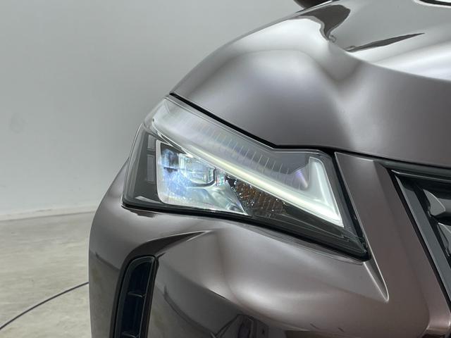 �y���C�g�E�����v�z�w���C�g�^�����v���Ӂx�̉摜�ɂȂ�܂��B�ʐ^�̓��e�Ɋւ��Ă��s���_�A�����ⓙ���������܂����炨�C�y�ɃK���o�[�X�܂܂ł��₢���킹���������B