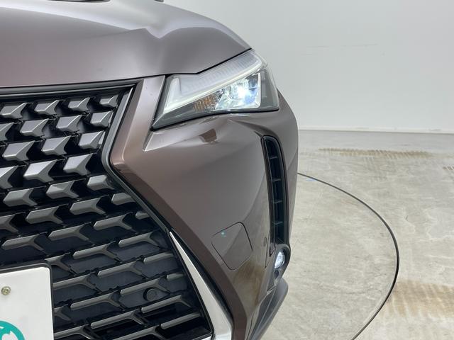 �y���C�g�E�����v�z�w���C�g�^�����v���Ӂx�̉摜�ɂȂ�܂��B�ʐ^�̓��e�Ɋւ��Ă��s���_�A�����ⓙ���������܂����炨�C�y�ɃK���o�[�X�܂܂ł��₢���킹���������B