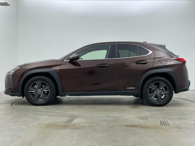 �y���z�w�O���G�����x�̉摜�ɂȂ�܂��B�ʐ^�̓��e�Ɋւ��Ă��s���_�A�����ⓙ���������܂����炨�C�y�ɃK���o�[�X�܂܂ł��₢���킹���������B