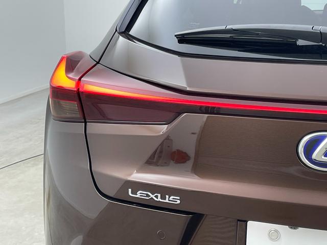 �y���C�g�E�����v�z�w���C�g�^�����v���Ӂx�̉摜�ɂȂ�܂��B�ʐ^�̓��e�Ɋւ��Ă��s���_�A�����ⓙ���������܂����炨�C�y�ɃK���o�[�X�܂܂ł��₢���킹���������B