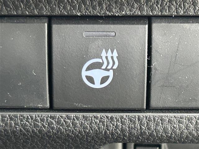 ＲＡＶ４ アドベンチャー　純正９インチディスプレイ　バックカメラ　合皮シート　パワーシート　シートヒーター　ベンチレーション　ステアリングヒーター　パワーバックドア　ＴＲＤルーフキャリア　トヨタセーフティーセンス　ドラレコ（5枚目）